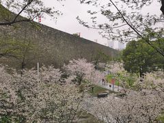 -南京城墙景区