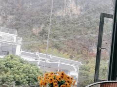 -明仕田园