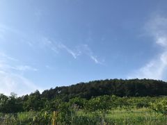 -青龙山国家森林公园