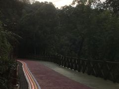 -广州市流溪河国家森林公园