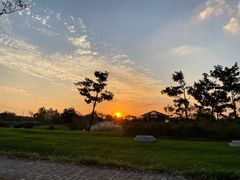 -尚贤河湿地