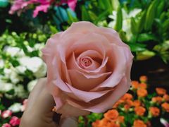 -妃比花艺(光启城时尚购物中心店)