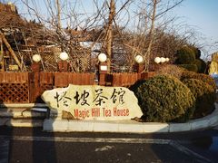 -怪坡茶馆