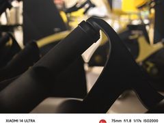 -诺伯曼·运动会馆(新梦店)