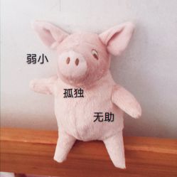-La Rose·轻奢皮肤管理
