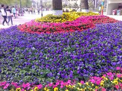 android_upload_pic-哈尔滨文化公园