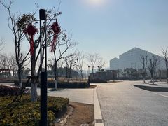 -春花秋色城市公园