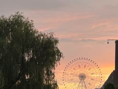 -特克斯八卦城