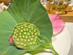 -叶叶菩提(太原别墅店)