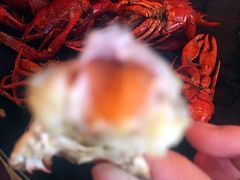 -沪小胖小龙虾(淮海中路旗舰店)
