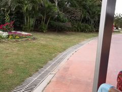 -亚龙湾国际玫瑰谷