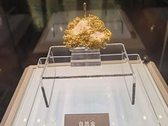 -安徽省地质博物馆
