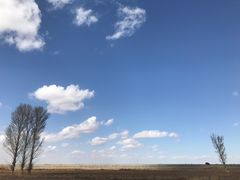 -鄂尔多斯野生动物园