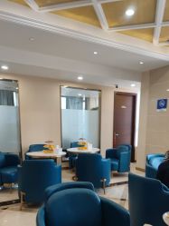 -碧莲盛·不剃发植发