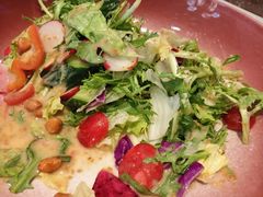 大拌菜-正阳春烤鸭(华捷道店)