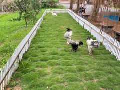 -李小龙乐园(顺德均安店)