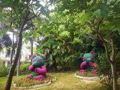 -金山植物公园