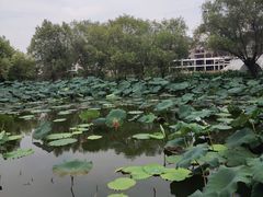 -长兴太湖图影湿地文化园