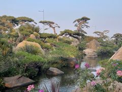 -罗红摄影艺术馆