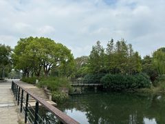 -尚贤河湿地