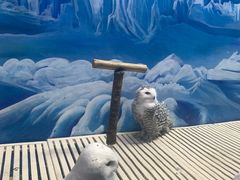 -成都浩海立方海洋公园