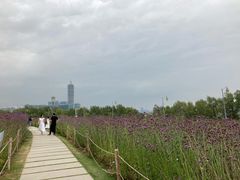 -深圳湾公园(南山区)