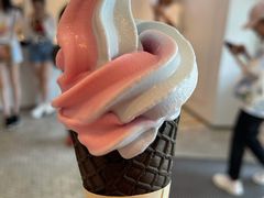 -喜茶(迪士尼小镇DP店)