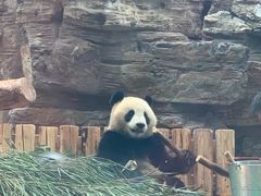 -石家庄市动物园