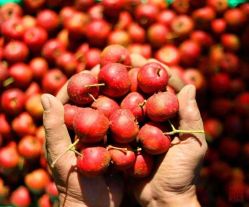 -姜美堂·蒸姜除湿の纤体美颜馆