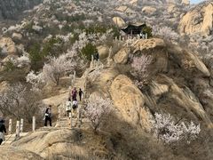 -北京凤凰岭
