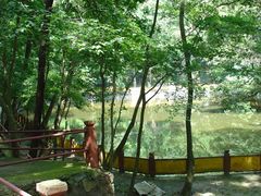 景点-青峰峡国家森林公园