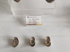 -南阳府衙
