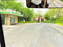 -热高乐园
