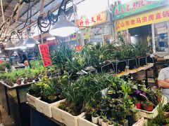 -万商花鸟市场