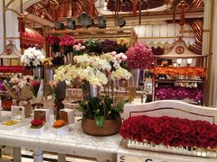 -咖啡苑 - 蔚藍夏日限定主题(永利皇宫店)