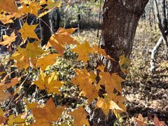 -玉渡山自然风景区