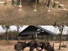 -宿豫区运河湾森林动物园