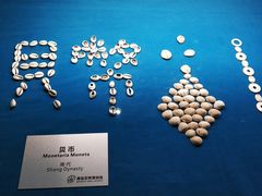 -青岛贝壳博物馆