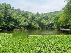 -天目湖山水园