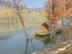 -千年银杏谷文化旅游区