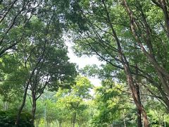 -昆山城市生态森林公园