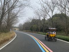 -同里国家湿地公园