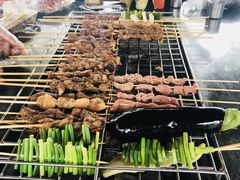 -春花秋色城市公园