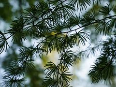 -敬亭山风景名胜区