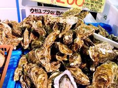 -海鮮寿司とれとれ市場