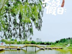 -通辽森林公园