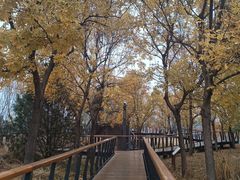 -东郊湿地公园
