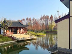 -江心屿景区