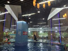-梧桐阳光国际游泳健身会所(亚运村店)