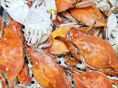 -金狮国际酒店自助餐(金狮店)